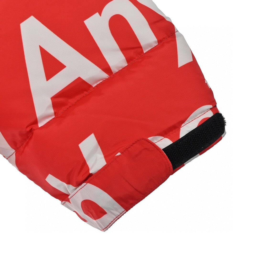 The North Face Down Jacket Supreme