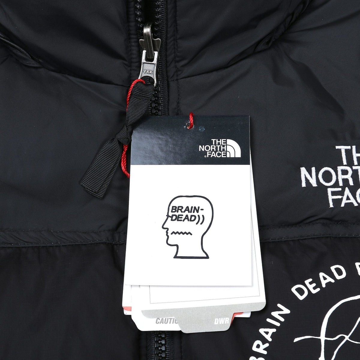 The North Face Down Jacket