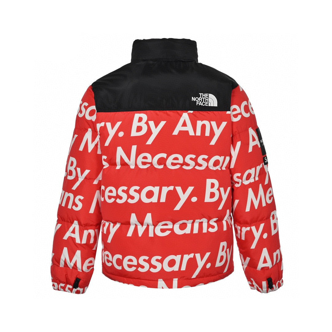 The North Face Down Jacket Supreme
