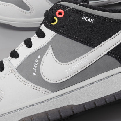 SB Dunk Low 'Pro ISO'