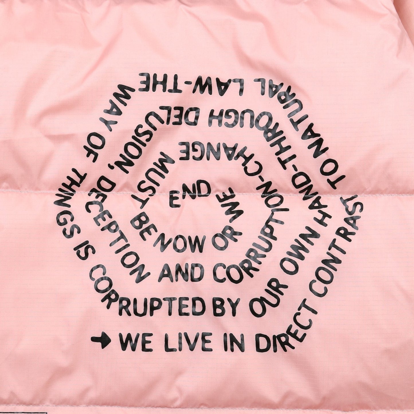 The North Face Down Jacket