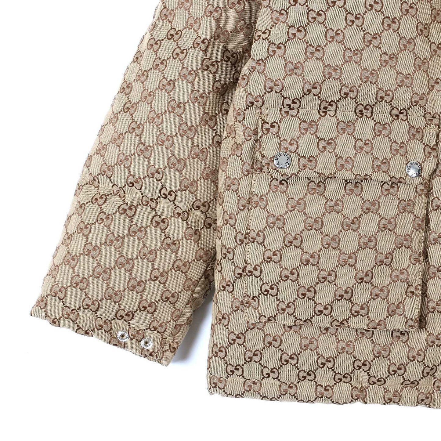 The North Face Down Jacket Gucci